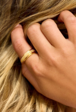 PURA VIDA Pastel Stripe Fidget Ring in Gold PURA VIDA Pastel Stripe Fidget Ring in Gold