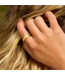 Pastel Stripe Fidget Ring in Gold