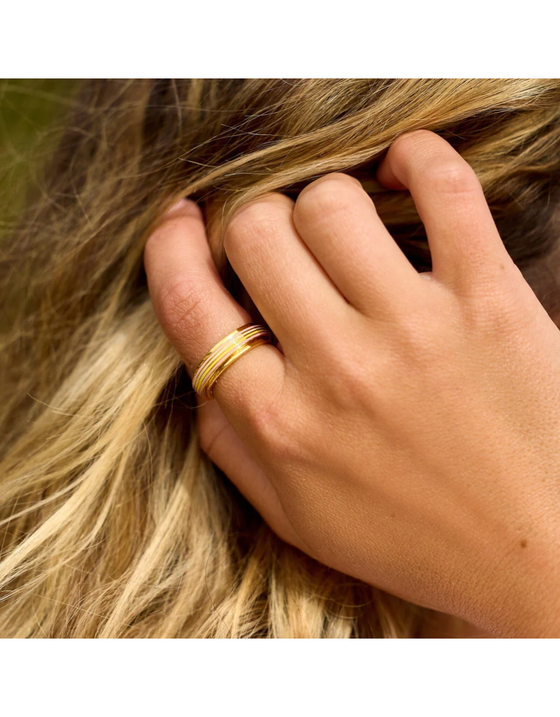 PURA VIDA Pastel Stripe Fidget Ring in Gold
