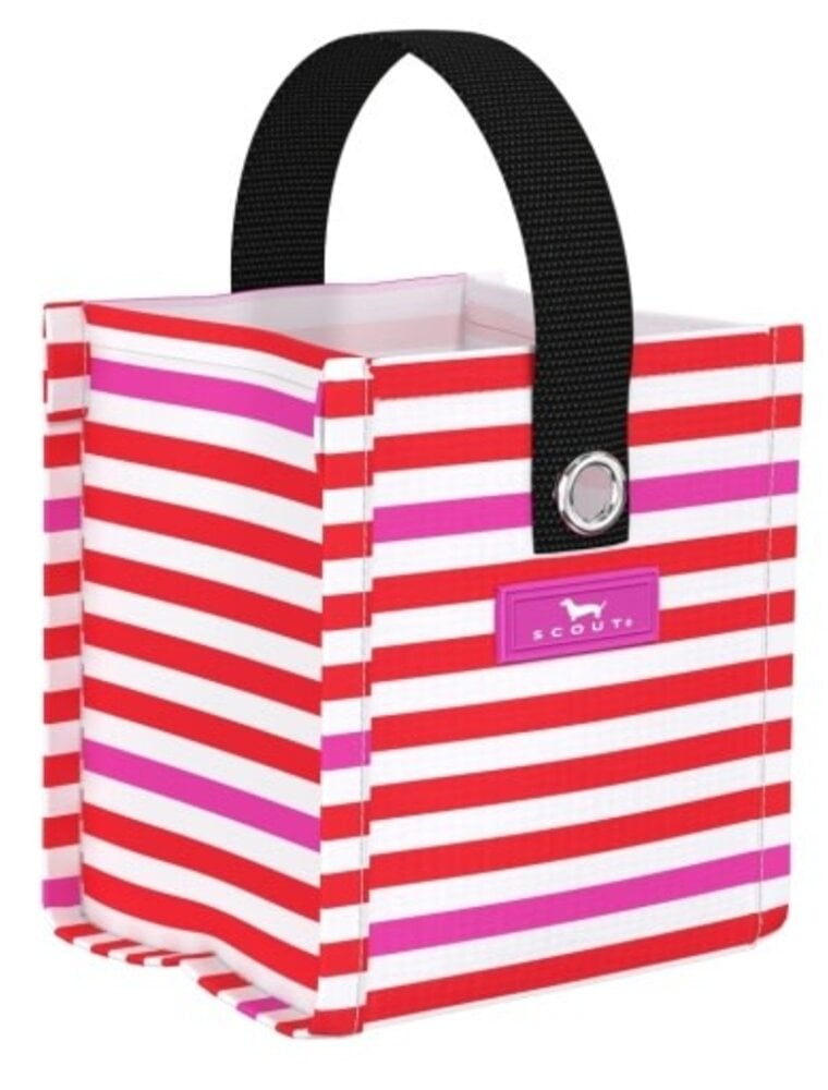 SCOUT Mini Package Gift Bag in Ready To Jingle