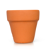 Can You Dig It? Terracotta Pot Mini