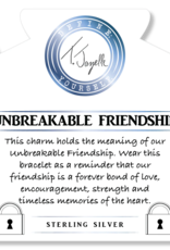TJAZELLE Unbreakable Friendship Bracelet in Storm Agate & Silver