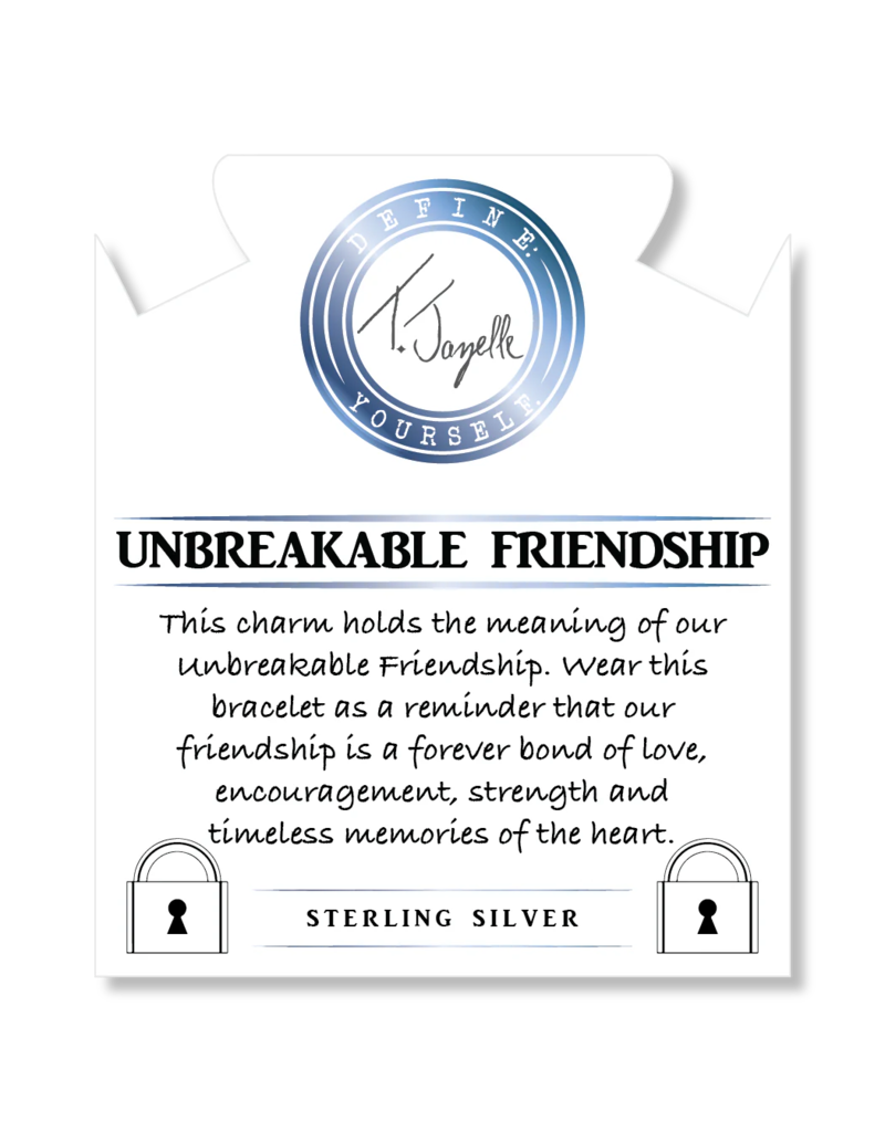 TJAZELLE Unbreakable Friendship Bracelet in Storm Agate & Silver
