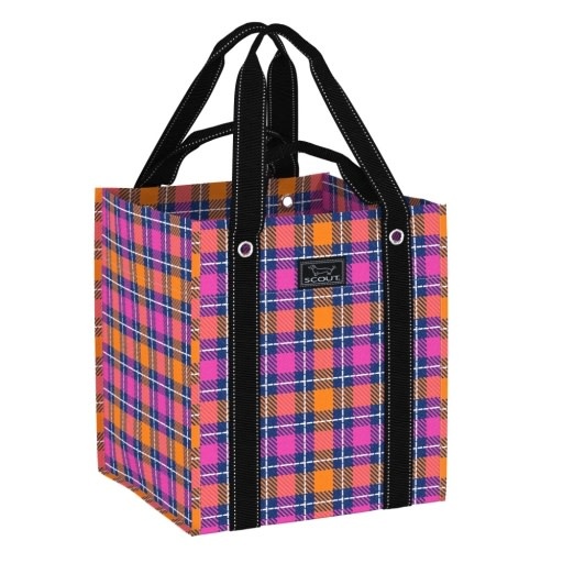 SCOUT Bagette Market Tote in As If