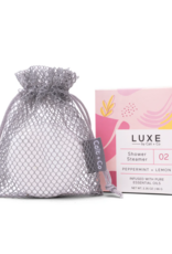 Peppermint & Lemon Aromatherapy Shower Steamer