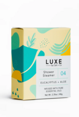 Eucalyptus & Aloe Aromatherapy Shower Steamer