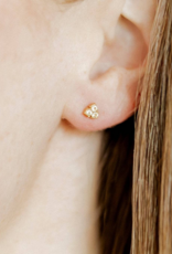 LINNY & CO Tatum Gold Screwback Stud Earrings