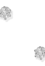 LINNY & CO Helen Silver Screwback Stud Earrings