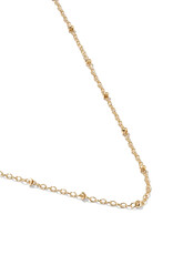 KENDRA SCOTT DESIGN Evelyn Single Satellite Gold Chain Necklace