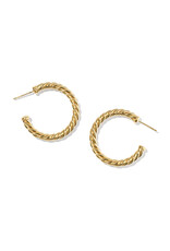 KENDRA SCOTT DESIGN Victoria Thick Twist Gold Hoop Earrings