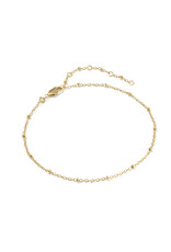 KENDRA SCOTT DESIGN Evelyn Single Satellite Gold Chain Anklet