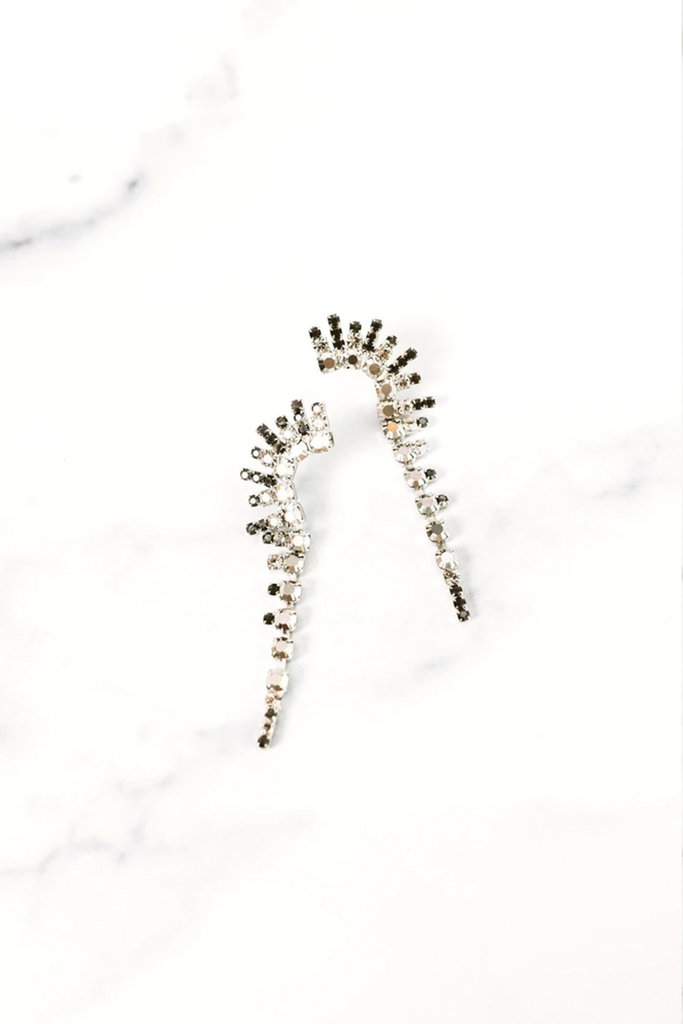 Elizabeth Cole Mae Earrings in Grey