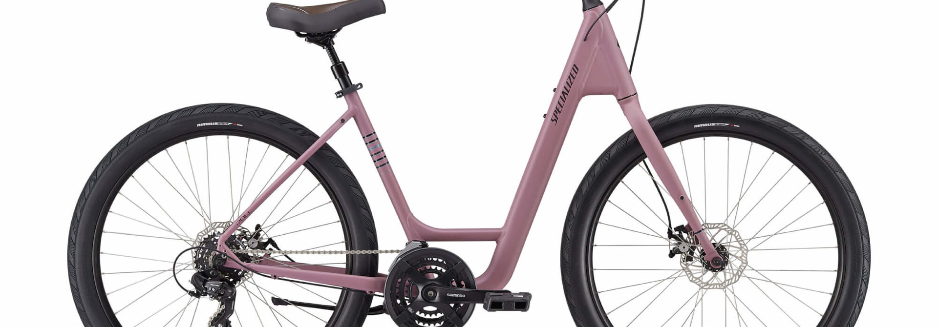 Roll Sport Low Entry 2021