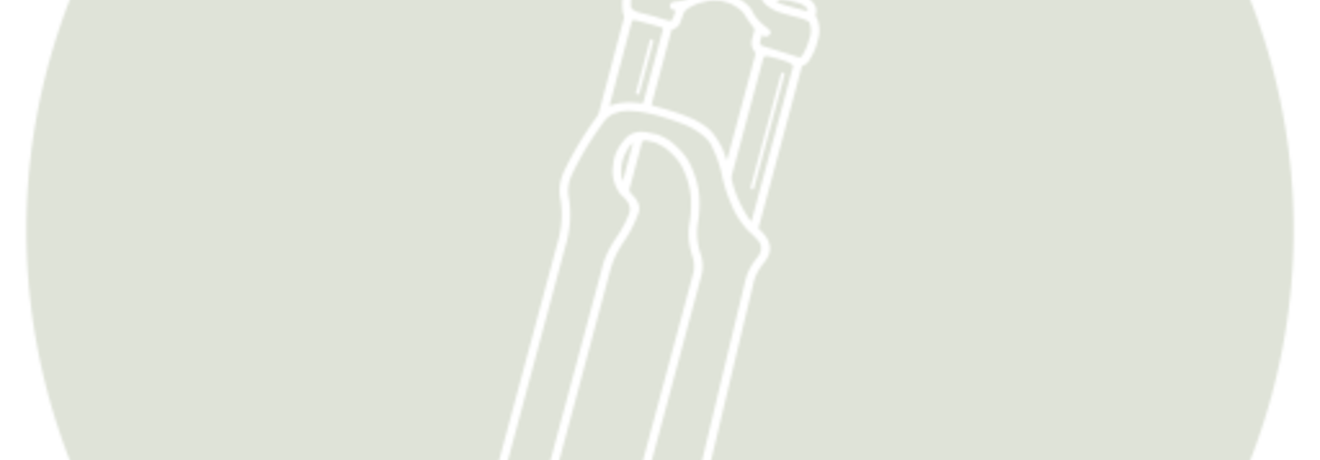 Fork Service Specialized - 100 hour