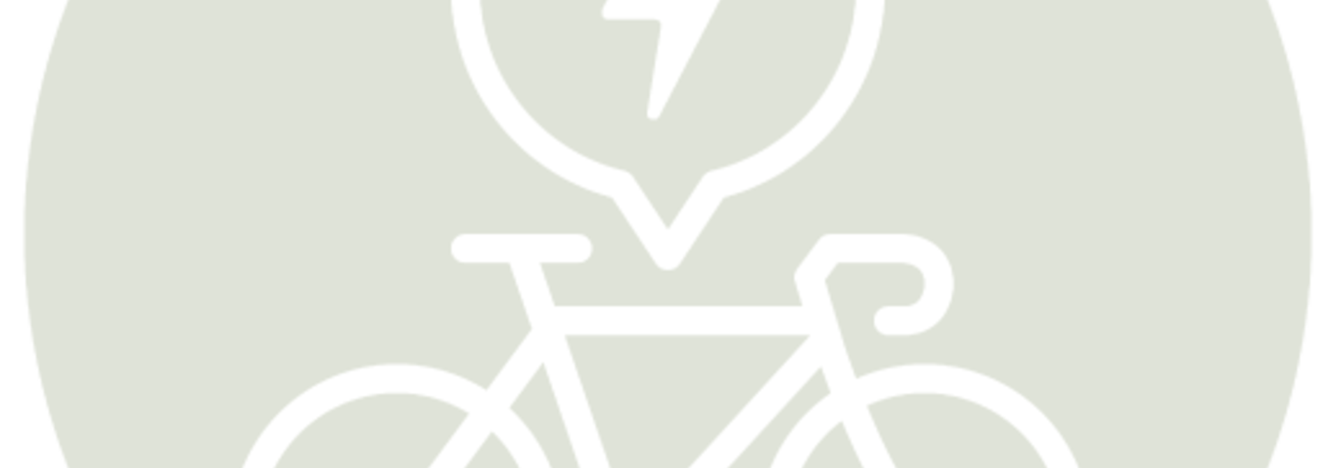 E-Bike Service