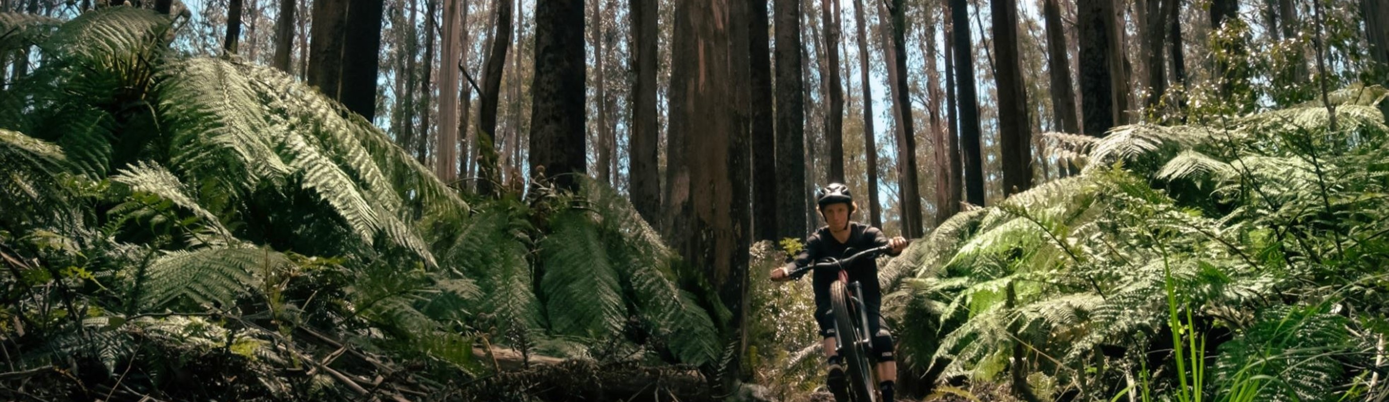 Victoria's hidden MTB gem - Lake Mountain 