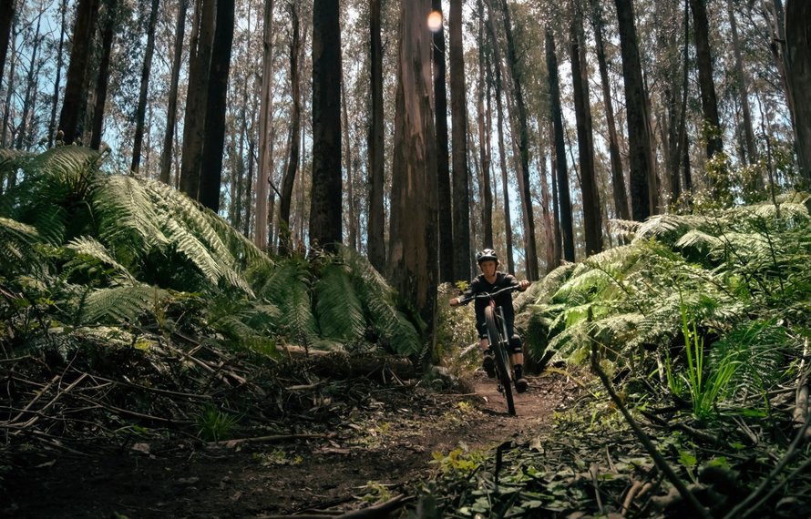 Victoria's hidden MTB gem - Lake Mountain 