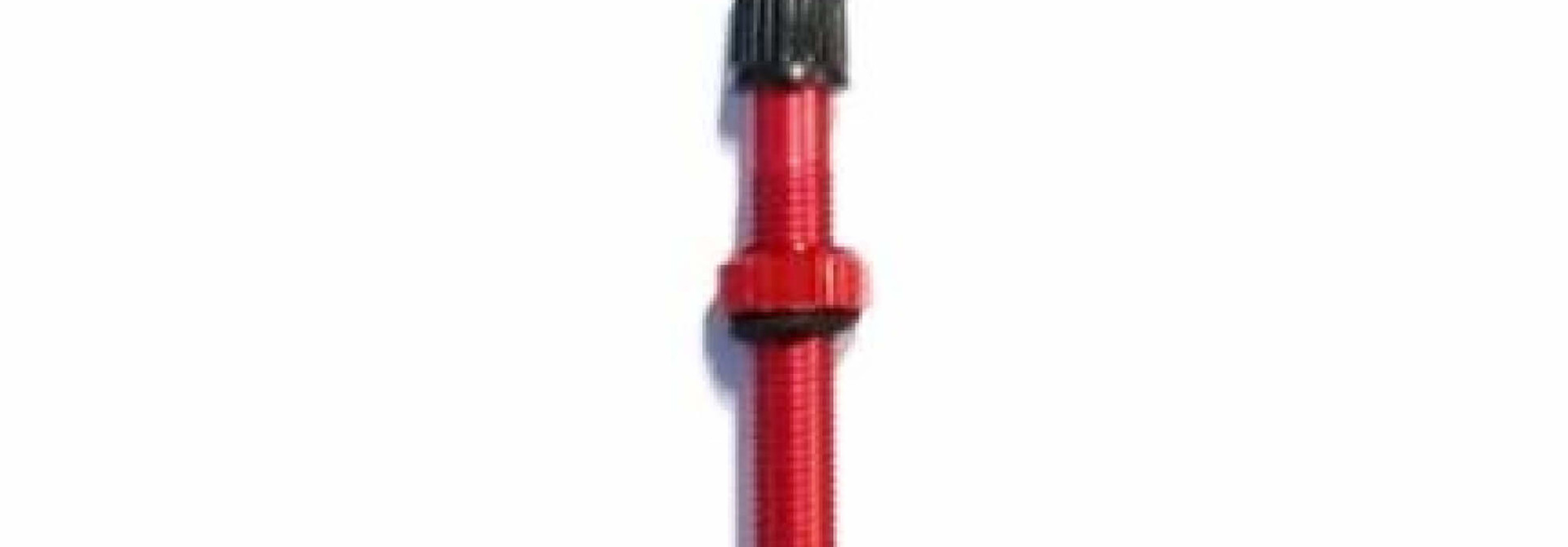 Tubeless Valves Alloy (Pair)