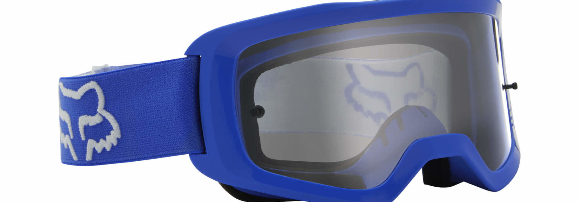 Main Stray Goggle 2021