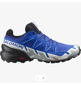 SALOMON MEN SPEEDCROSS 6 GTX SHOE