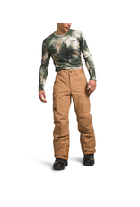 THE NORTH FACE MEN'S FREEDOM INSULATED PANT