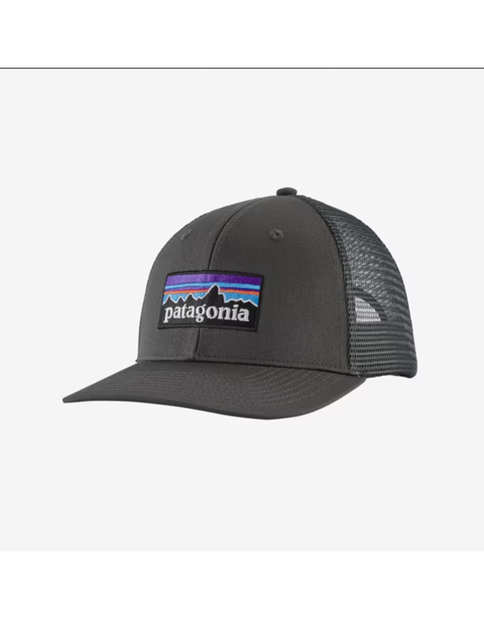 PATAGONIA P-6 LOGO TRUCKER HAT 2023
