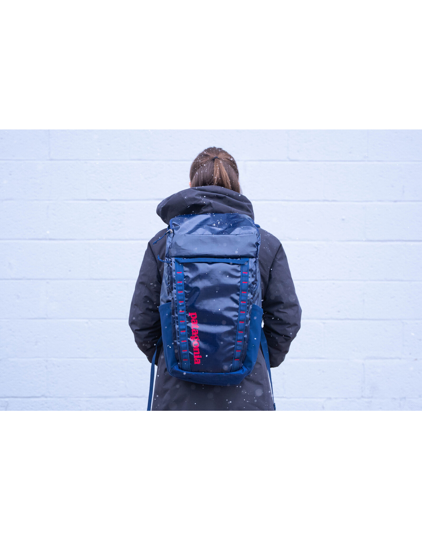 PATAGONIA BLACK HOLE PACK 32L