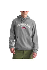 THE NORTH FACE MEN'S VARSITY HOODIE