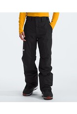 THE NORTH FACE MEN'S FREEDOM INSULATED PANT