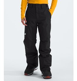 THE NORTH FACE MEN'S FREEDOM INSULATED PANT