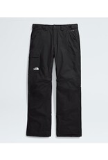 THE NORTH FACE MEN'S FREEDOM INSULATED PANT