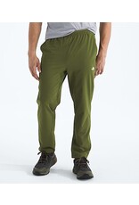THE NORTH FACE MEN'S WANDER JOGGER 2.0