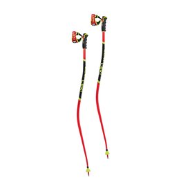 LEKI SUPER G/DH SKI POLE