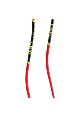 LEKI SUPER G/DH SKI POLE
