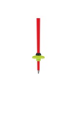 LEKI WC SL SKI POLE