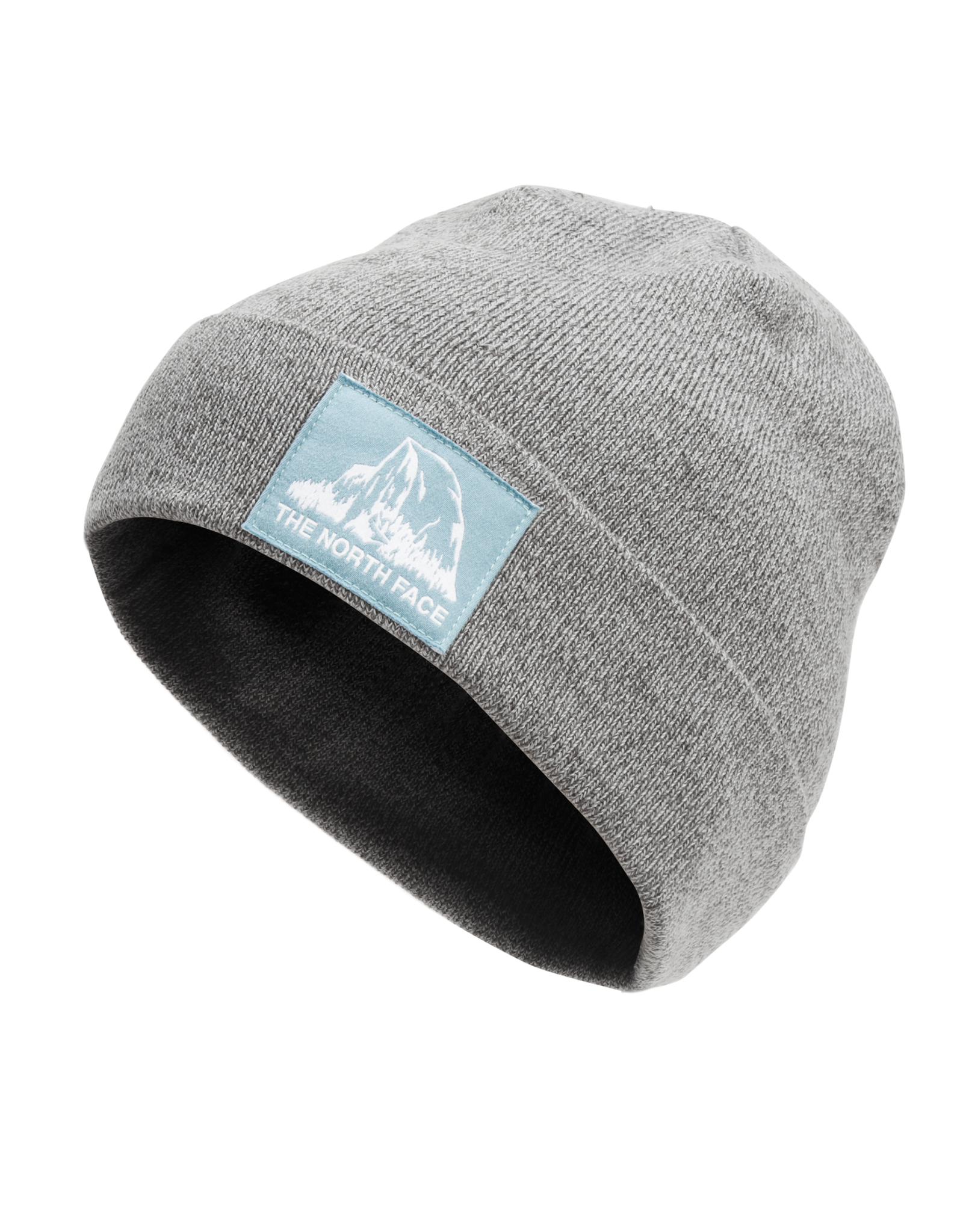 THE NORTH FACE DOCK WORKER RECYCLED BEANIE 2021