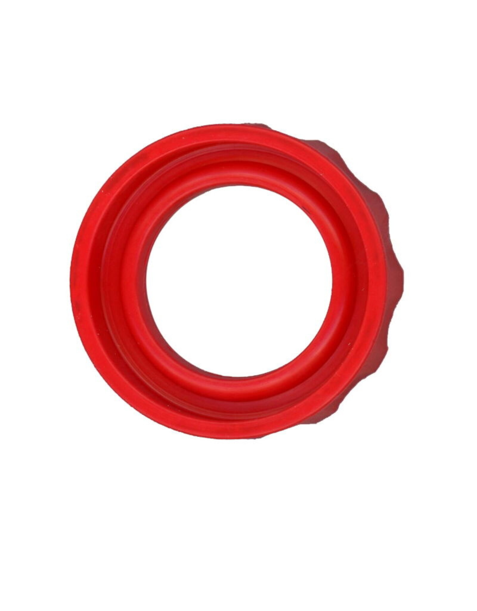 MSR FUEL PUMP SEAL