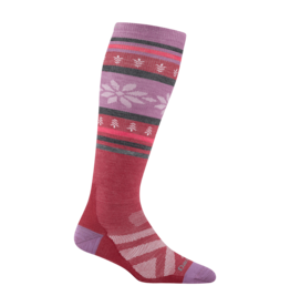 DARN TOUGH WOMENS ALPINE LIGHT SKI SOCK
