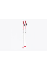 DPS EXTENDABLE SKI POLE