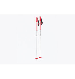 DPS EXTENDABLE SKI POLE