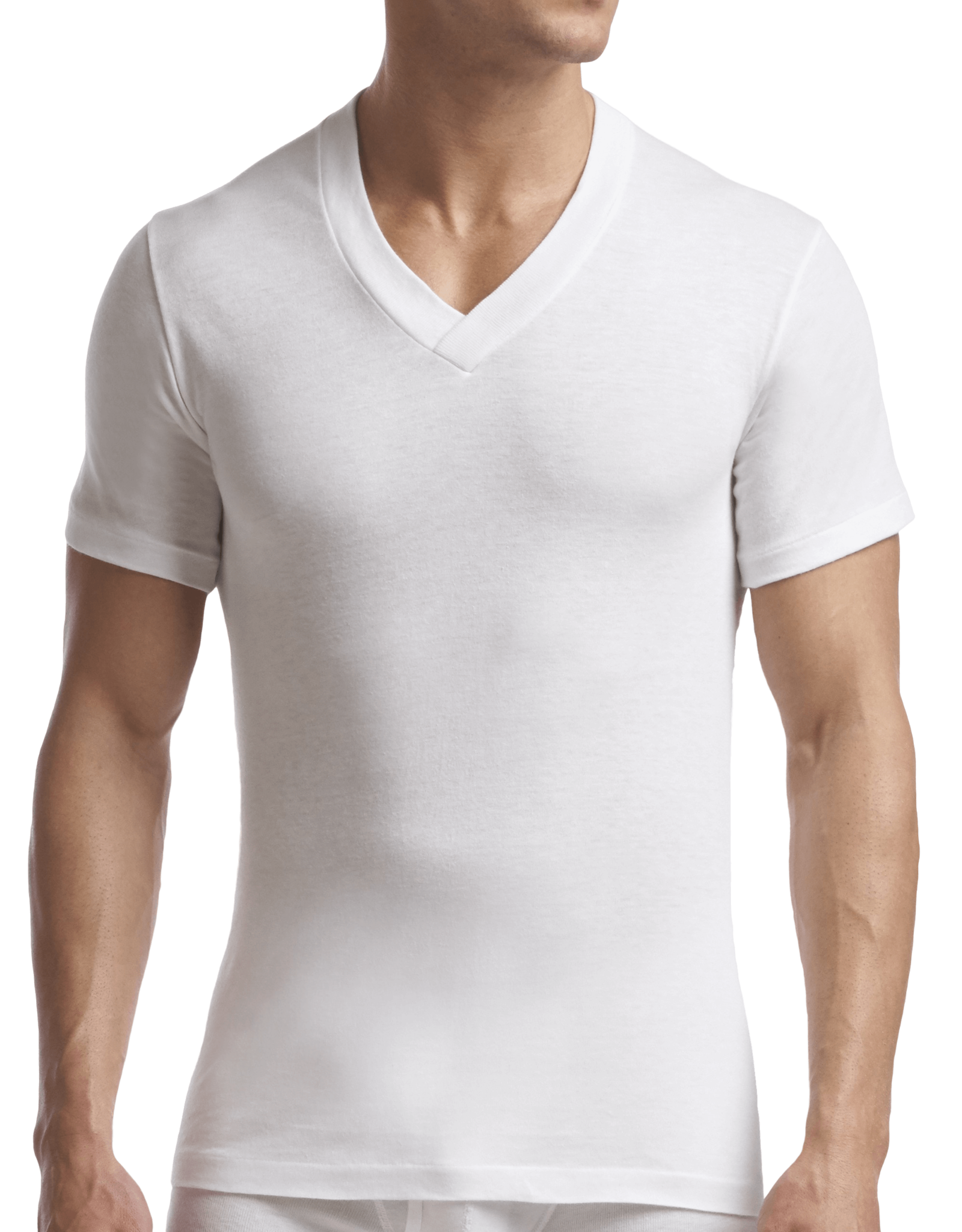 STANFIELDS MENS VNECK TEE