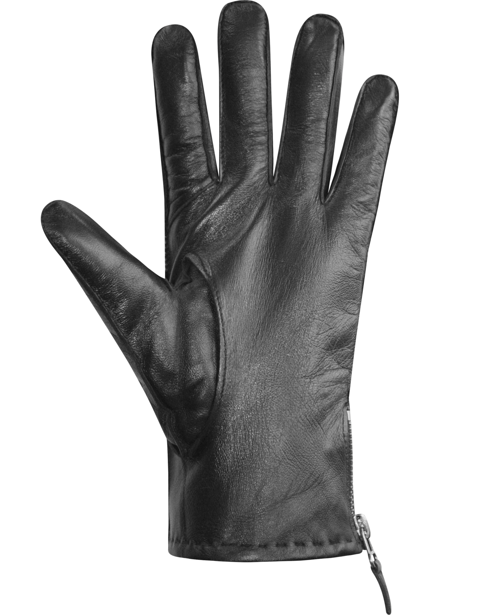 auclair MEN ROBERT GLOVE
