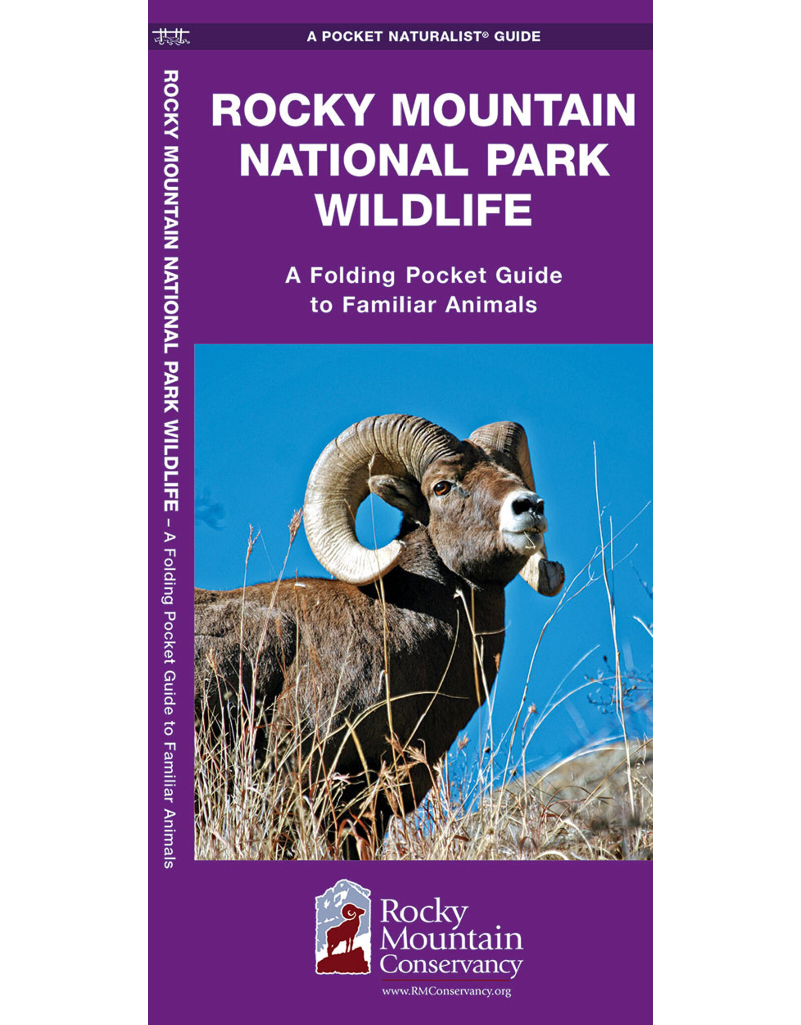 WATERFORD PRESS ROCKY MOUNTAIN WILDLIFE