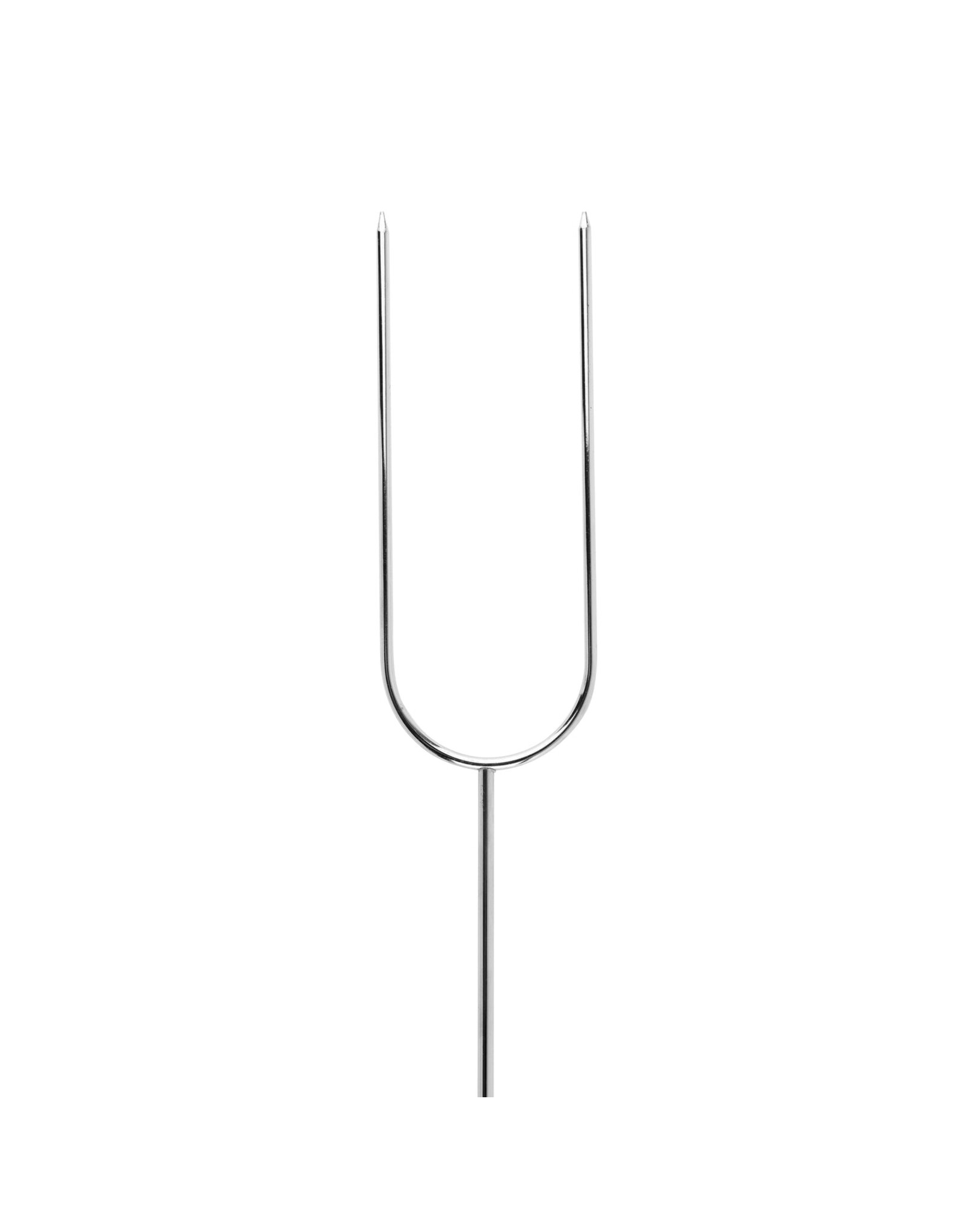 COGHLAN'S CAMP FORK