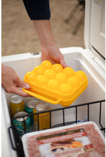 COGHLAN'S EGG HOLDER X12 COGHLAN'S EGG HOLDER X12