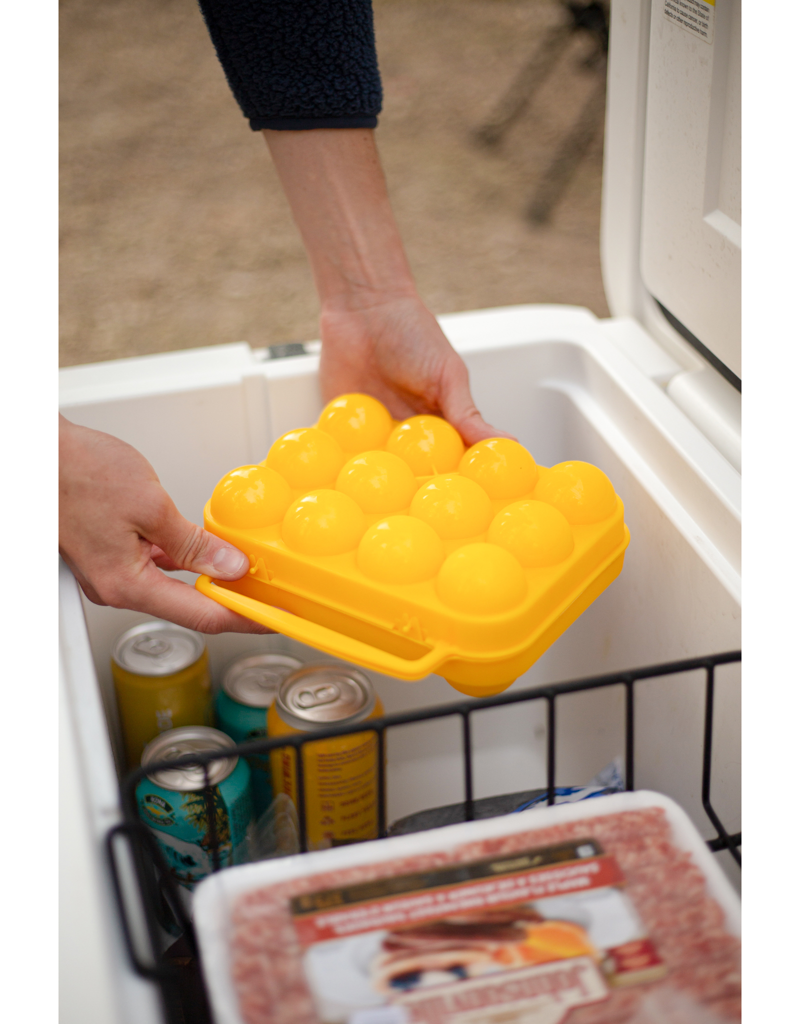 COGHLAN'S EGG HOLDER X12