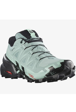 SALOMON WOMEN SHOES SPEEDCROSS 6 GTX SHOE