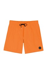 ONEILL MEN SOLID VOLLEY SHORT 2024