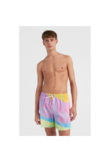 ONEILL MEN CALI MELTING SHORT