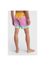 ONEILL MEN CALI MELTING SHORT